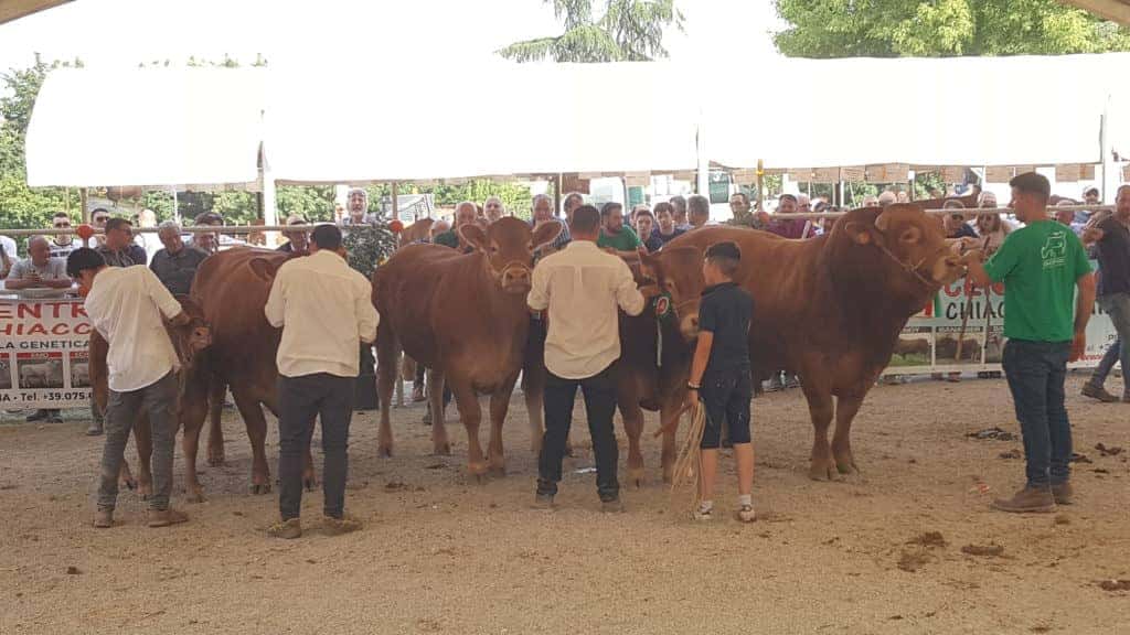 Fiera Agricola Mugellana di Borgo SL: successo per l’edizione 2019