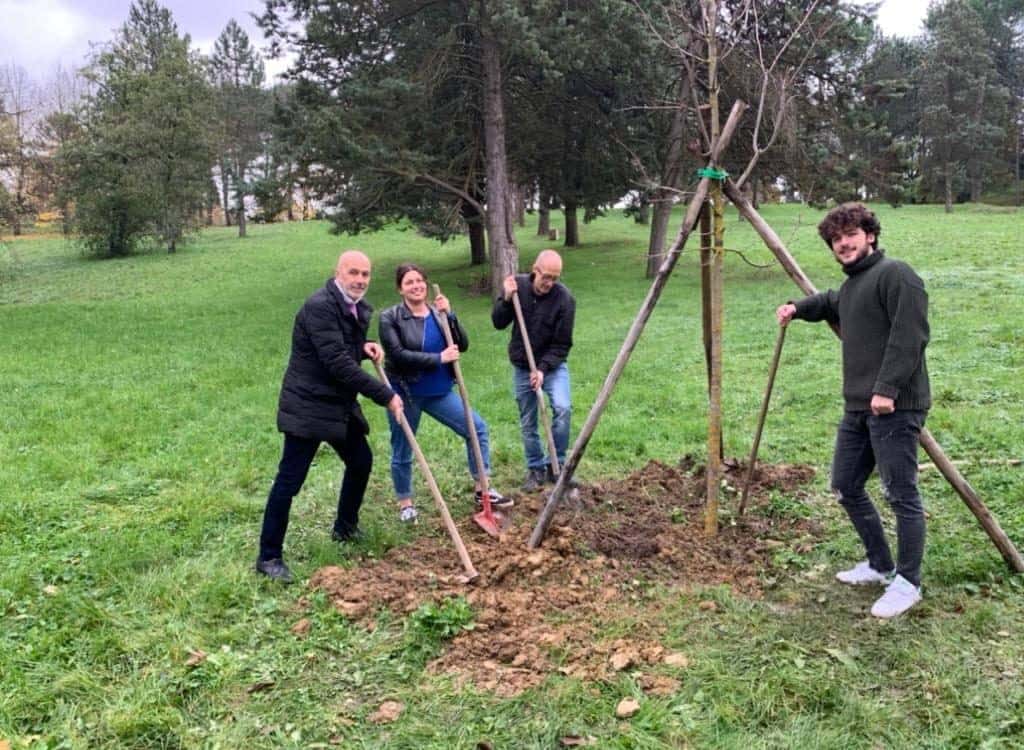 Vicchio, Giornata Nazionale degli alberi: piantato un acero nel parco di Montelleri