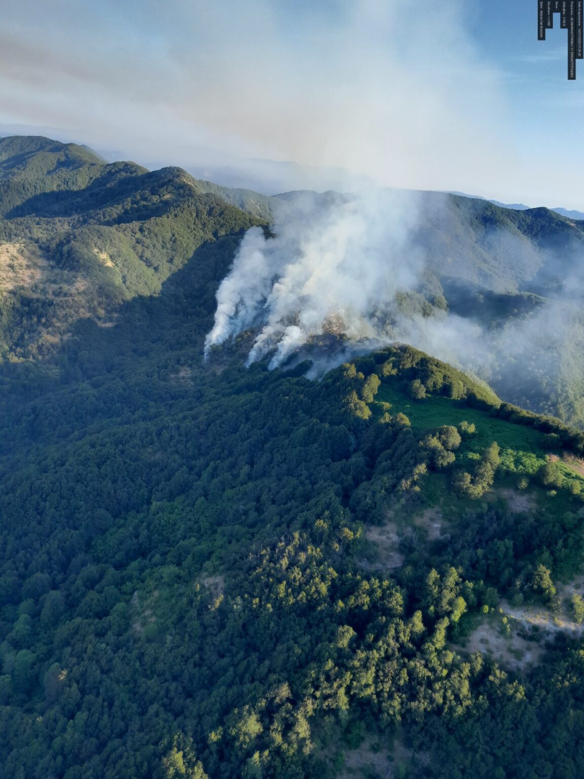 Vicchio, incendio in corso dalla scorsa notte in località La Colla: coinvolti 15 ettari di bosco